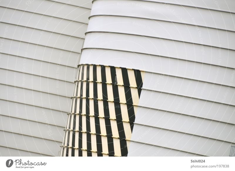 horizontal stripes on the silo Trade Silo Storage tank Industrial plant Factory Architecture Wall (barrier) Wall (building) Facade Metal Cool (slang) Fat Gloomy