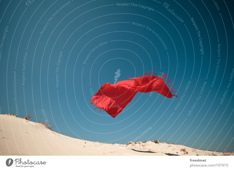 flying carpet Nature Landscape Elements Earth Sand Air Sky Cloudless sky Summer Beautiful weather Desert Exceptional Positive Red Movement Horizon Whimsical