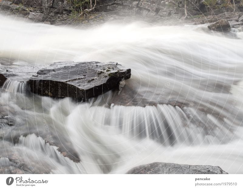 water | music Nature Landscape Elements Water River Stone Esthetic Success Fresh Healthy Wet Natural Waterfall Norway Stone slab Long exposure Flow Hissing