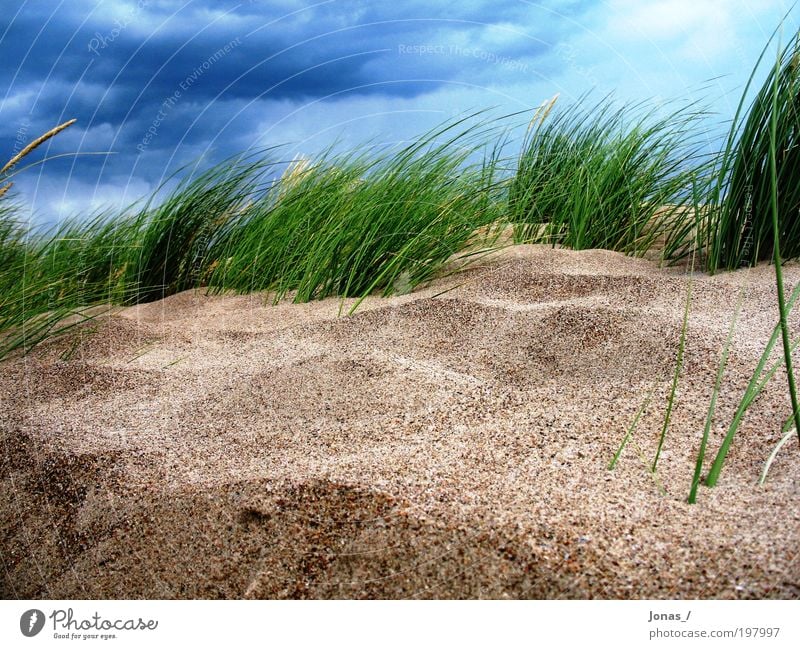under water?! Environment Nature Landscape Plant Earth Sand Air Sky Clouds Climate Weather Beautiful weather Bad weather Wind Gale Grass Foliage plant