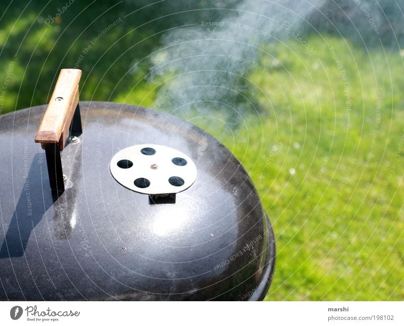 all´n my grill Nutrition Leisure and hobbies Green Smoke Barbecue (event) Grill BBQ season Lawn Garden Delicious Gully Fragrance Colour photo Exterior shot