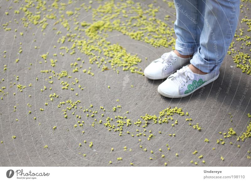 Spring Particles Human being Girl Youth (Young adults) Legs 1 13 - 18 years Child Blossom Jeans Sneakers Blue Yellow White Colour photo Exterior shot Detail Day