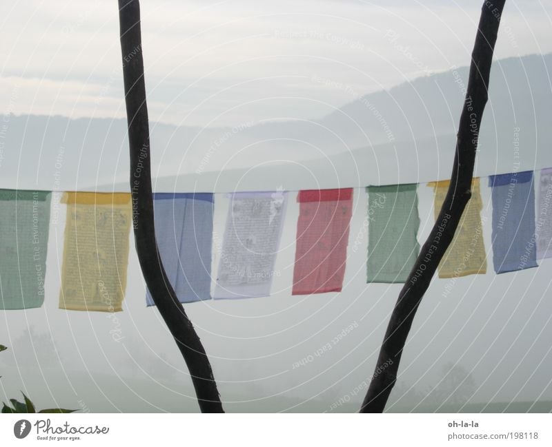 Tibetan flags Nature Fog Calm Belief Humble Buddhism Colour photo Exterior shot Dawn Central perspective