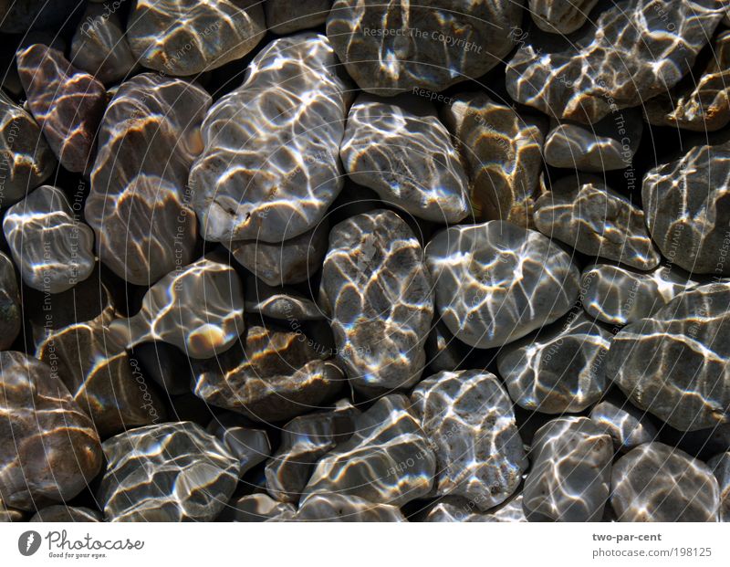 pebbles and water Nature Elements Water River Stone Wet Pebble Colour photo Exterior shot Deserted Day Light (Natural Phenomenon) Sunlight