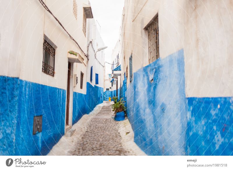 Morocco Village Fishing village Small Town Old town House (Residential Structure) Wall (barrier) Wall (building) Facade Tourist Attraction Blue Mediterranean