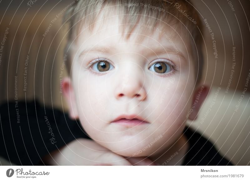 look at Human being Child Toddler Boy (child) Infancy Eyes 1 1 - 3 years Emotions Moody Contentment Truth Son Beautiful Cute Brash Brown eyes Blonde Looking Sit