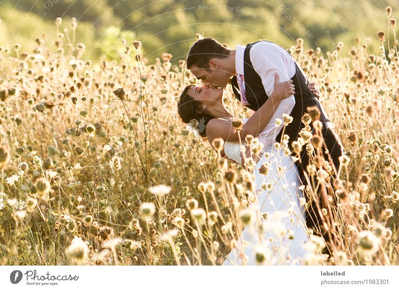 Kissing Couple Lifestyle Joy Wedding Human being Young man Youth (Young adults) Woman Adults Man 2 18 - 30 years Nature Field Feasts & Celebrations Athletic