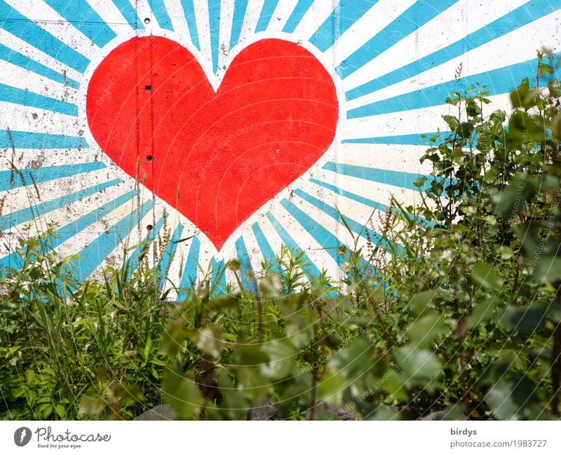 warm greetings Beautiful weather Grass Bushes Wall (barrier) Wall (building) Sign Graffiti Heart Glittering Love Illuminate Esthetic Happiness Gigantic Positive