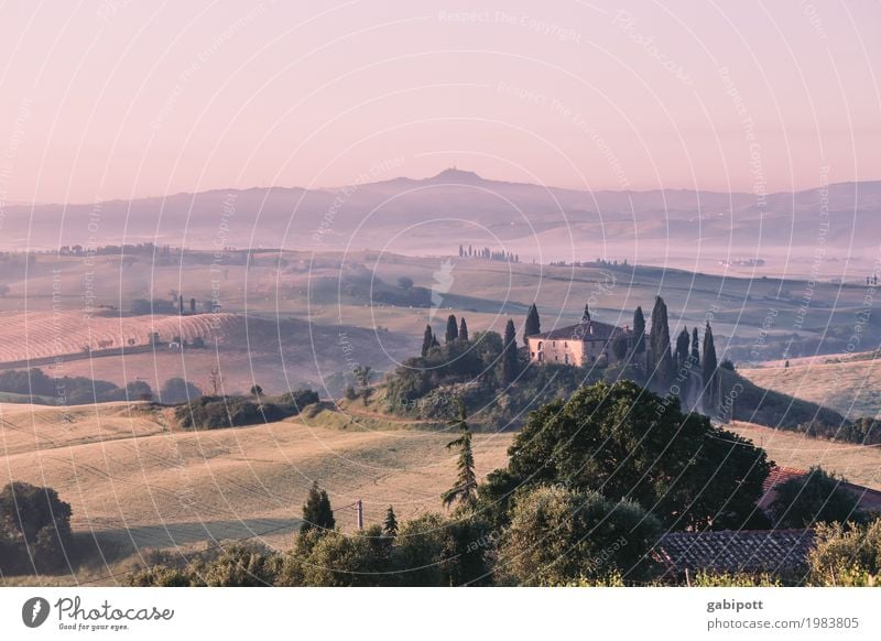 Val d'Orcia, Tuscany, Italy Harmonious Senses Relaxation Calm Vacation & Travel Tourism Trip Adventure Far-off places Freedom Summer Summer vacation Environment