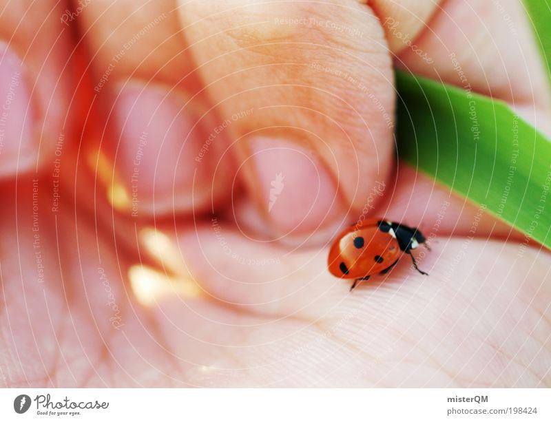 Little Things. Animal Effort Esthetic Contentment Life Ease Ladybird Happy Hope Congratulations Good luck charm Small Spotted Needy Wary Delicate Vulnerable