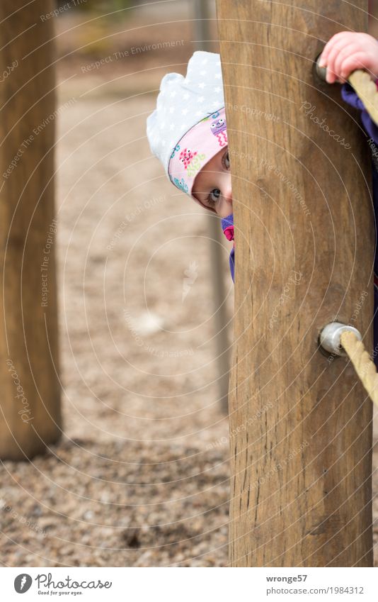 game of hide-and-seek Playing Playground Hide Human being Child Toddler Girl 1 1 - 3 years Curiosity Brown Colour photo Subdued colour Exterior shot