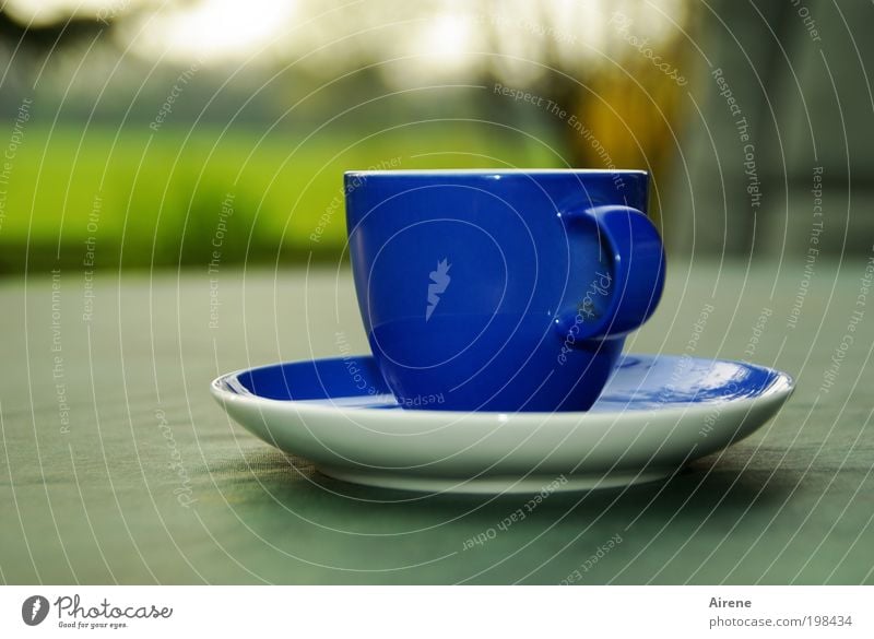 the blue cup To have a coffee Espresso Cup Relaxation Calm To enjoy Blue Coffee cup Coffee break Crockery Terrace Simple Green Contentment Esthetic enjoyment