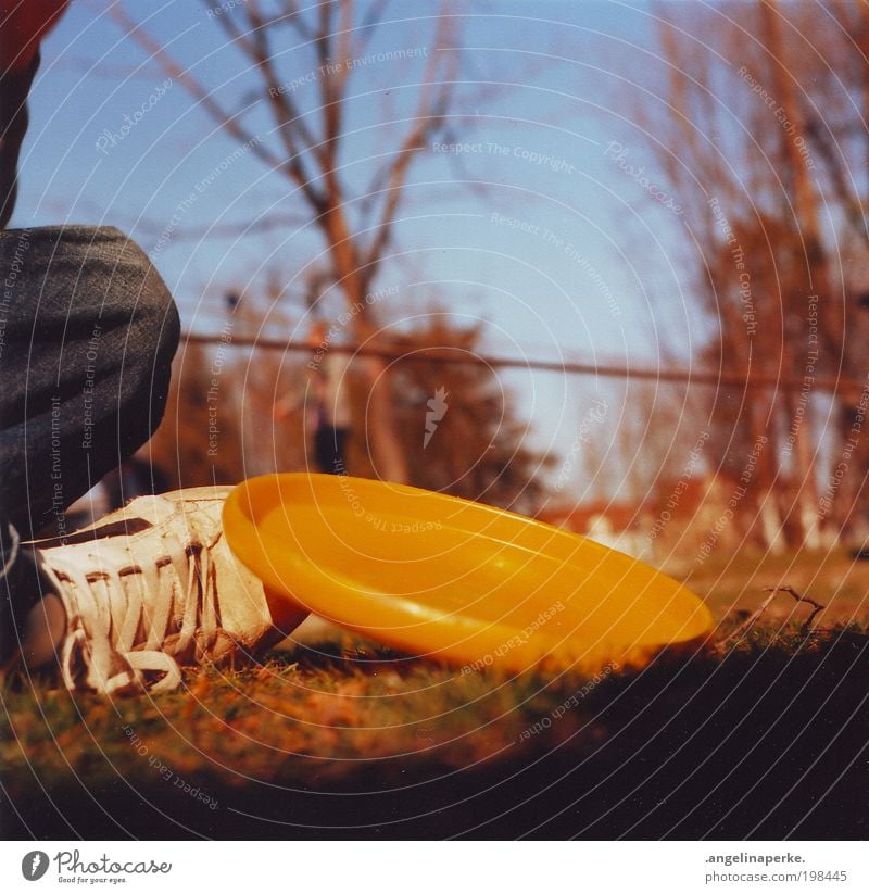 heating disc Summer Sun Shadow Yellow Frisbee Sneakers Tree Meadow Sky Relaxation Slacklining Shallow depth of field Crouch Worm's-eye view Exterior shot