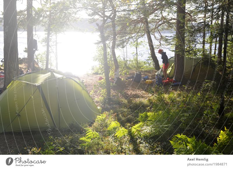 island bliss Woman Adults Life 1 Human being Water Sunlight Summer Beautiful weather Forest Island Lake Dalsland Canal Canoe Canoe trip Canoeist Tent Tent camp