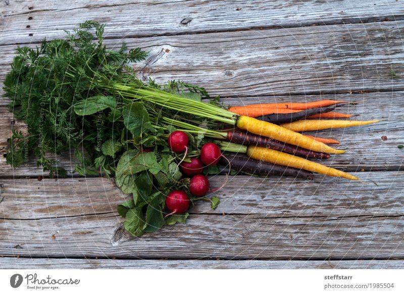Organic red radishes and carrots Food Vegetable Nutrition Eating Healthy Healthy Eating Plant Agricultural crop Diet Growth Natural Multicoloured Yellow Gold