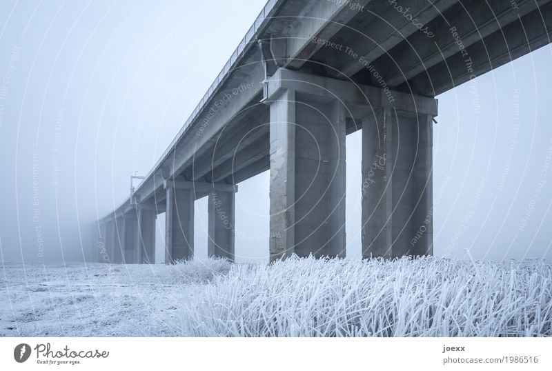 cold bridge Winter Weather Bad weather Fog Ice Frost Bridge Concrete Tall Gray White Colour photo Subdued colour Exterior shot Deserted Day Deep depth of field