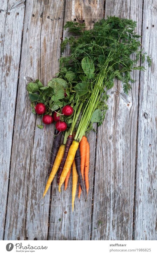 Organic red radishes and carrots Food Vegetable Nutrition Eating Organic produce Vegetarian diet Diet Healthy Healthy Eating Plant Agricultural crop Garden