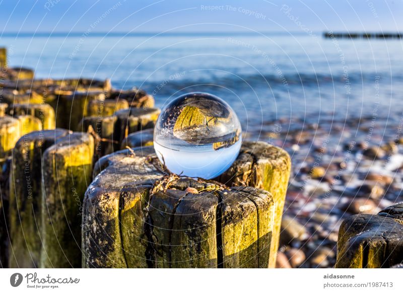 Glass ball at the Baltic Sea Landscape Water Beautiful weather Beach Contentment Optimism Colour photo Exterior shot Deserted Day