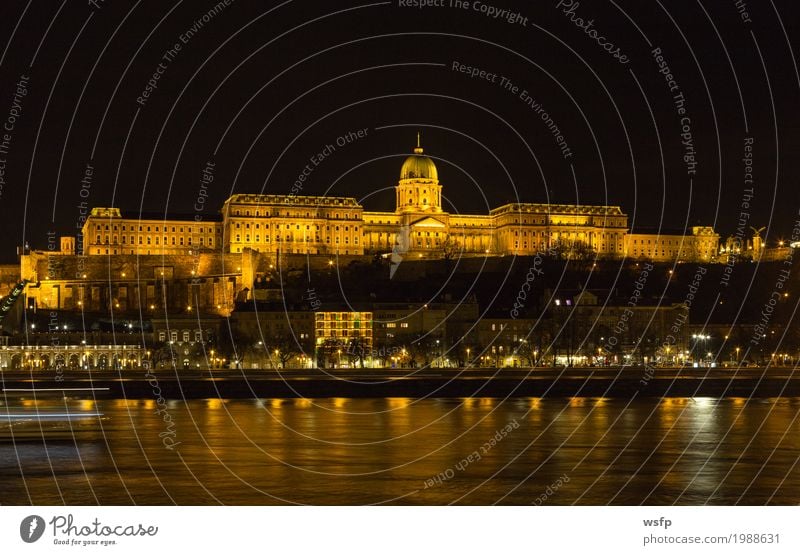 Hungary Castle Palace Budapest at night Tourism Town Architecture Historic Castle palace castle hill castle quarter Lighting Lock City Danube travel Attraction