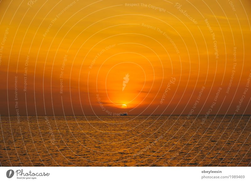 The silhouette of sunset at the beach Lifestyle Style Human being Art Nature Landscape Waves Beach Bay Ocean Adventure Colour photo Multicoloured Wide angle