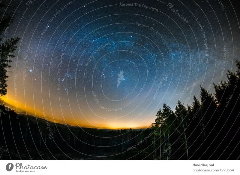 Astro landscape in the Palatinate Forest Far-off places Freedom Nature Landscape Sky Night sky Stars Horizon Tree Hill Peak think tank Germany