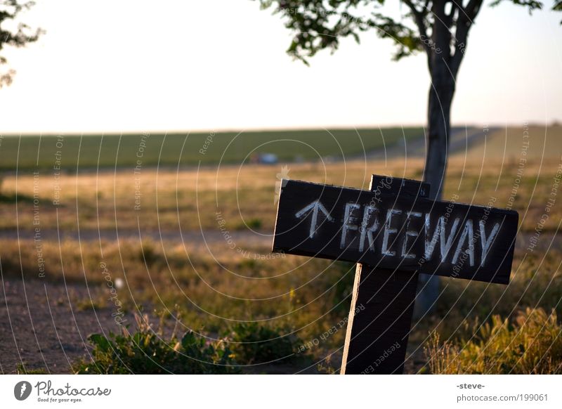 Free Nature Landscape Meadow Street Road sign Yellow Green Freeway USA California Direction Colour photo Exterior shot Deserted Morning Dawn