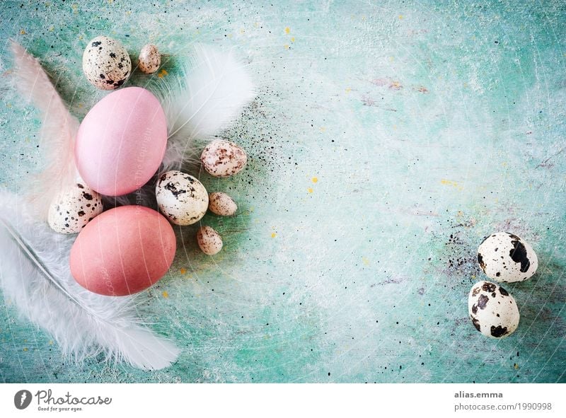 Easter Background happy easter Easter egg Egg Turquoise Background picture Copy Space Quail's egg Spring Rustic Grunge Structures and shapes April Feather