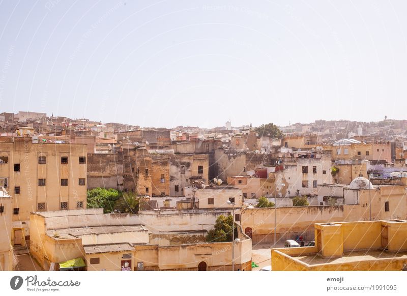 Fès Sky Cloudless sky Summer Beautiful weather Town House (Residential Structure) Wall (barrier) Wall (building) Poverty Warmth Fez Morocco Colour photo