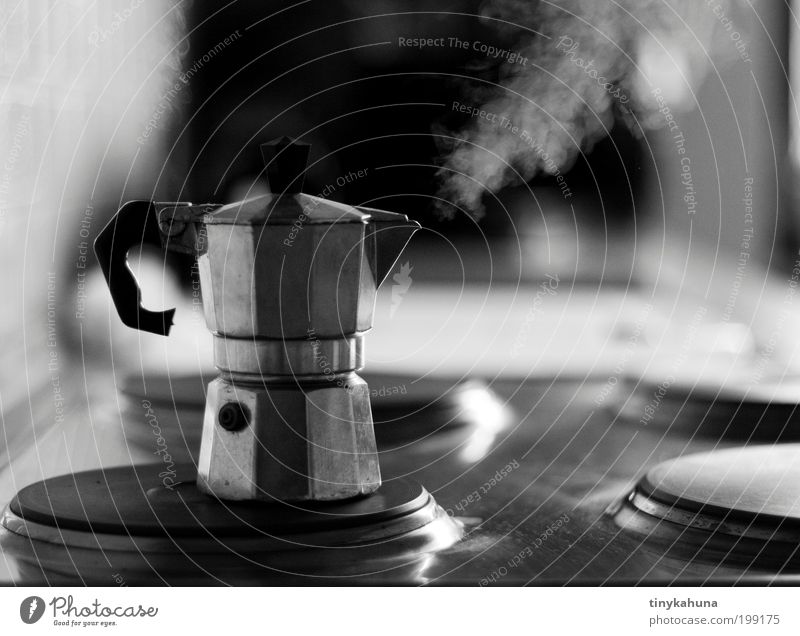 Full steam! To have a coffee Espresso Flat (apartment) Kitchen Stove & Oven Metal Drinking Wait Simple Hot Gray Black White Anticipation Fatigue To enjoy Steam