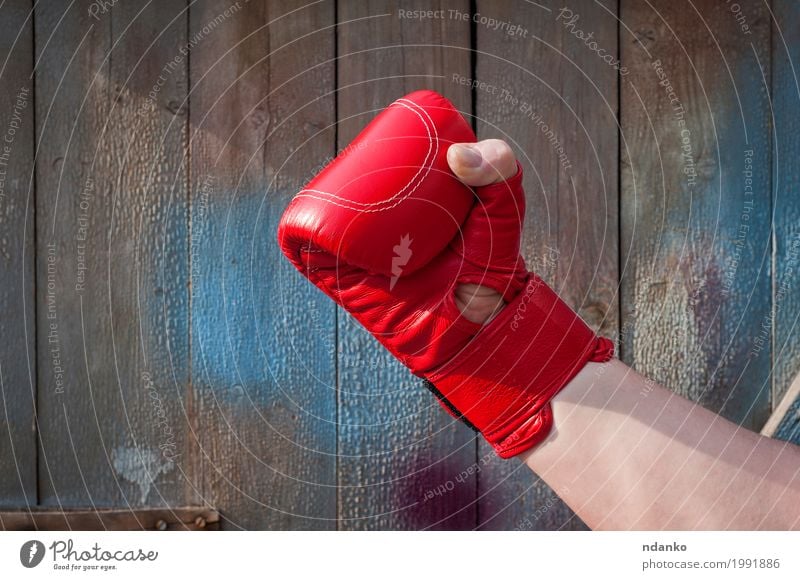 Man's hand in red boxing gloves Body Sports Success Loser Adults Hand Fingers 1 Human being 30 - 45 years Gloves Wood Old Fitness Aggression Retro Strong Blue