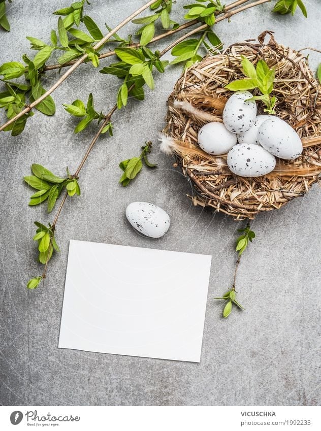 Easter eggs in nest with spring branches and map Style Design Decoration Feasts & Celebrations Nature Spring Bushes Sign Tradition Nest Symbols and metaphors