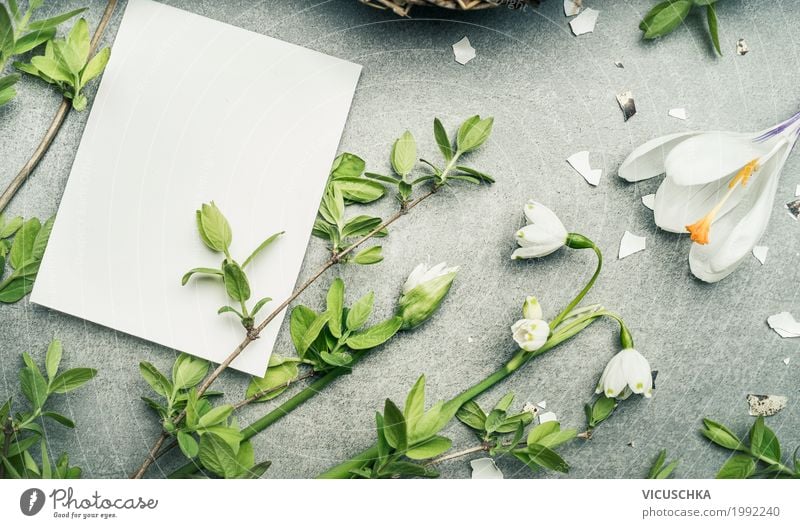 Spring flowers and twigs and empty white card Style Design Living or residing Garden Valentine's Day Nature Plant Flower Leaf Blossom Love Background picture