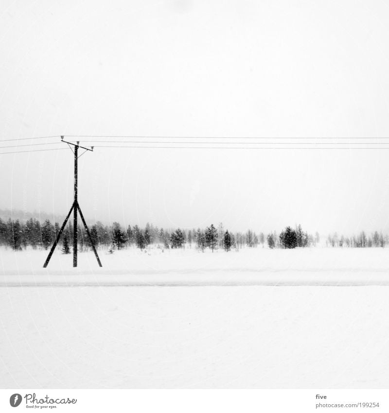 finnish power pole Vacation & Travel Trip Far-off places Freedom Winter Snow Winter vacation Environment Nature Sky Clouds Plant Tree Bushes Meadow Field Forest