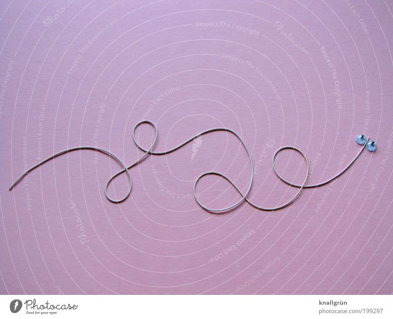 snake in the grass Animal Snake 1 Elastic band Pink White Joy Creativity Wiggly line Fantasy underpants rubber Colour photo Studio shot Deserted Copy Space top