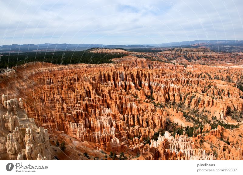 Bryce Canyon Vacation & Travel Far-off places Nature Landscape Earth Sand Sky Horizon Summer Climate change Tree Deserted Stone Wood Old Exceptional Large Hot