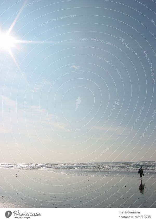 san_francisco_beach_02 Beach Ocean Waves Pacific Ocean Loneliness To go for a walk San Francisco Sun Sand West Coast USA Surf Sunlight Sunbeam Back-light