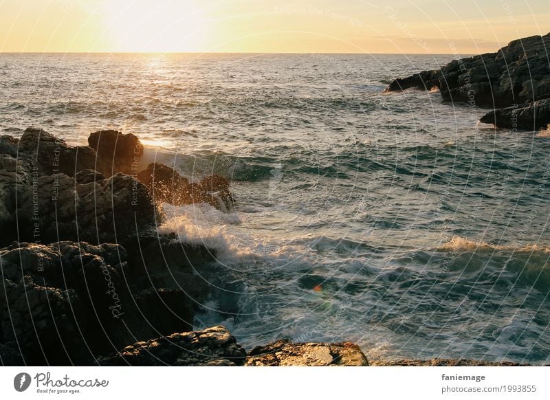 coucher du soleil à la Madrague de Montredon Nature Landscape Elements Water Drops of water Beautiful weather Waves Coast Ocean Relaxation Sunlight Bubbling