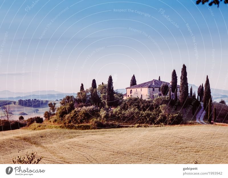 Val d'Orcia Vacation & Travel Tourism Trip Adventure Far-off places Summer vacation Nature Landscape Plant Sunrise Sunset Weather Beautiful weather Tree Meadow