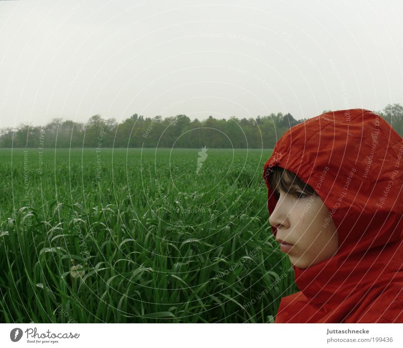 Little Red Riding Hood in the rain Human being Child Boy (child) Head 1 8 - 13 years Infancy Spring Autumn Bad weather Rain Meadow Field Jacket Wait Green