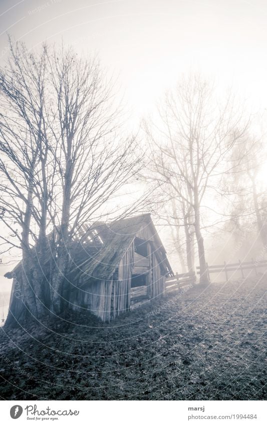 Cloudy and rainy Autumn Fog Hut hay barnyard Hayrick Cold Sadness Concern Reluctance Disappointment Loneliness Fiasco Decline Transience Lose over and done End