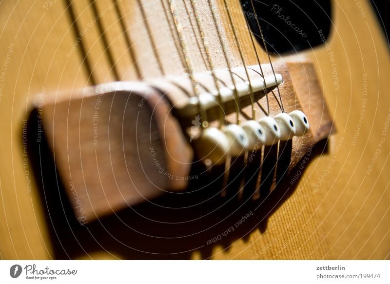 guitar Guitar Footbridge Musical instrument string Blanket Wood Acoustic folk Song folcmusic domestic music Tension unbundled Music unplugged Folklore music