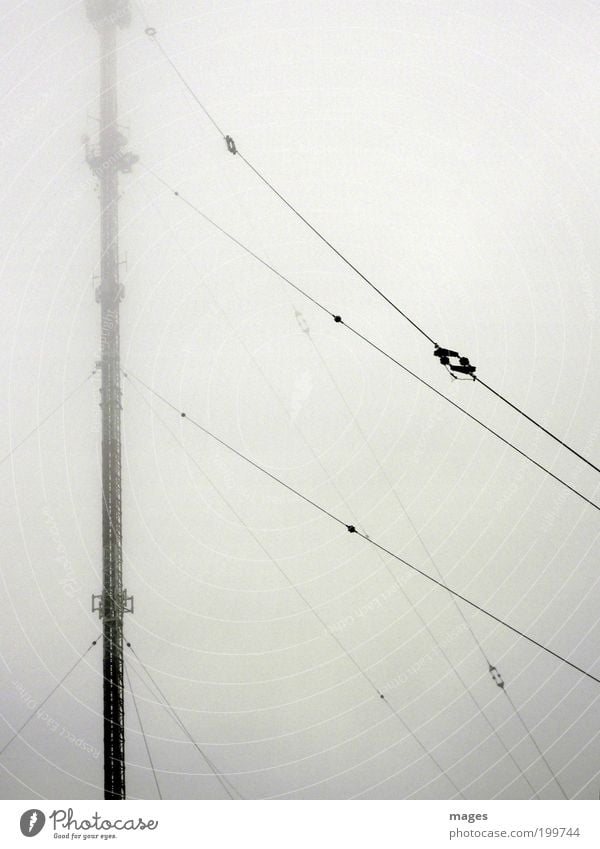 electrosmog Broadcasting tower Telecommunications Tall Broacaster Radiation Antenna Electromagnetic pollution Fog Colour photo Subdued colour Exterior shot
