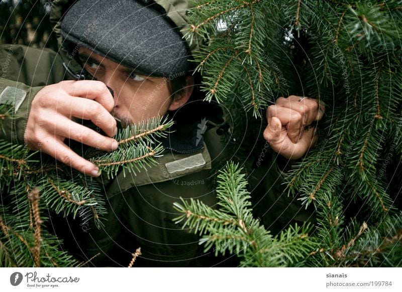 snitch Human being Masculine Man Adults Fir tree Cap Green Informer Spy Detective Mysterious Hiding place Hide Observe Stalker Stalking Voyeurism Thief Criminal