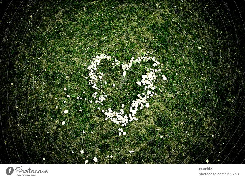<3 Happy Summer Nature Plant Spring Grass Meadow Sign Heart Green White Emotions Joie de vivre (Vitality) Spring fever Passion Acceptance Safety (feeling of)