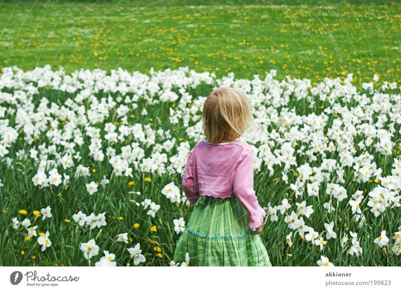 And where's the Easter bunny now? Human being Child Girl Infancy Back Arm Environment Nature Landscape Plant Spring Climate Weather Beautiful weather Warmth