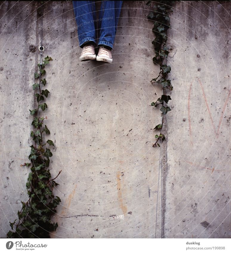 Sitting, Waiting, Wishing Human being Youth (Young adults) Legs Feet 1 Plant Ivy Park Wall (barrier) Wall (building) Pants Jeans Sneakers Discover Relaxation