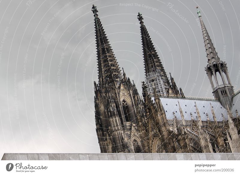 Cologne Young Elegant Vacation & Travel Tourism Trip Sightseeing City trip Summer Redecorate Work of art Storm clouds Old town Church Dome Manmade structures