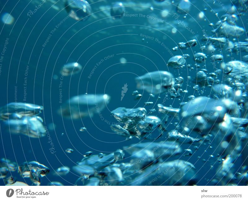 breath Ocean Environment Nature Water Drops of water Fantastic Cold Beautiful Blue Underwater photo Deserted Copy Space left Fresh Air bubble Purity Go up Hover