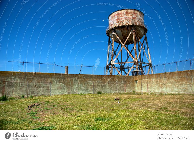 the other day in the garden... Landscape Sky Cloudless sky Summer Grass Meadow Alcatraz San Francisco California USA Deserted Water tower Wall (barrier)