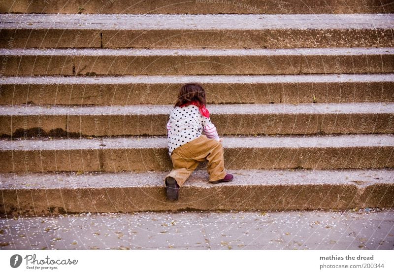 Steep path Human being Toddler Infancy 1 1 - 3 years Stairs Crawl Small Discover Resolve Effort Conquer Beautiful Cute Study Ascending Colour photo